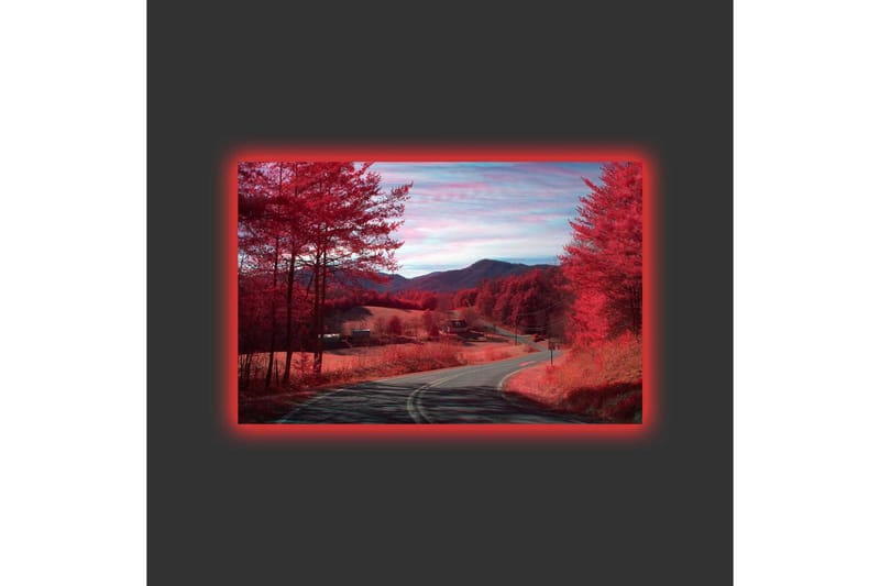 Canvastavla med LED-belysning - Vacker landskapsvy med röda träd och en slingrande väg - Röd / Mörkröd - Inredning & dekor - Tavlor & konst - Canvastavla