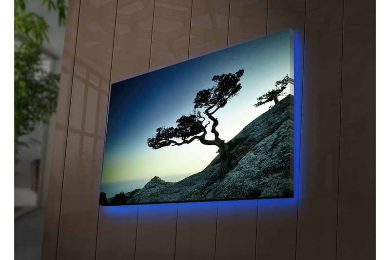 Canvastavla med LED-belysning - Vacker silhuett av ett vindpinat träd på en klippa vid skymning - Mörkgrön / Blå / Ljusgrön - Inredning & dekor - Tavlor & konst - Canvastavla