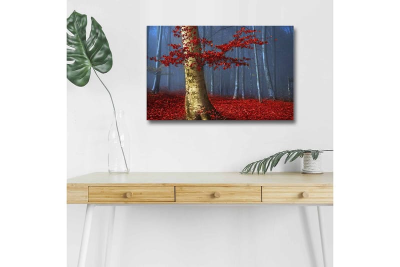 Canvastavla med LED-belysning - Vacker skog med röda höstlöv och en ljus stam i dimma, Röd / Grön / Blå
