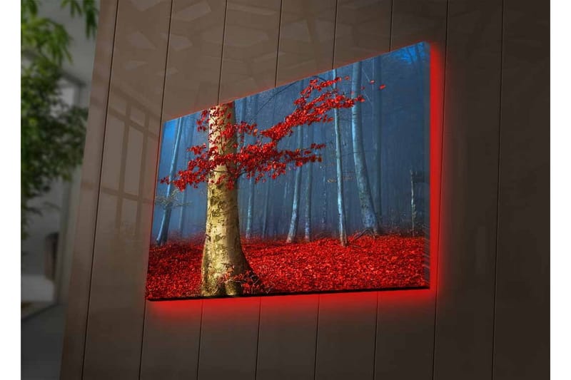Canvastavla med LED-belysning - Vacker skog med röda höstlöv och en ljus stam i dimma - Röd / Grön / Blå - Inredning & dekor - Tavlor & konst - Canvastavla