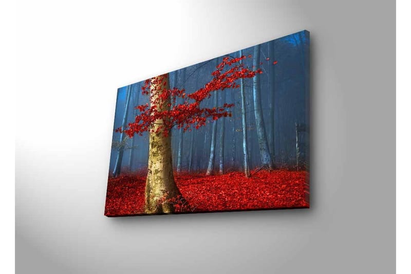 Canvastavla med LED-belysning - Vacker skog med röda höstlöv och en ljus stam i dimma - Röd / Grön / Blå - Inredning & dekor - Tavlor & konst - Canvastavla