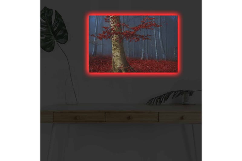 Canvastavla med LED-belysning - Vacker skog med röda höstlöv och en ljus stam i dimma - Röd / Grön / Blå - Inredning & dekor - Tavlor & konst - Canvastavla