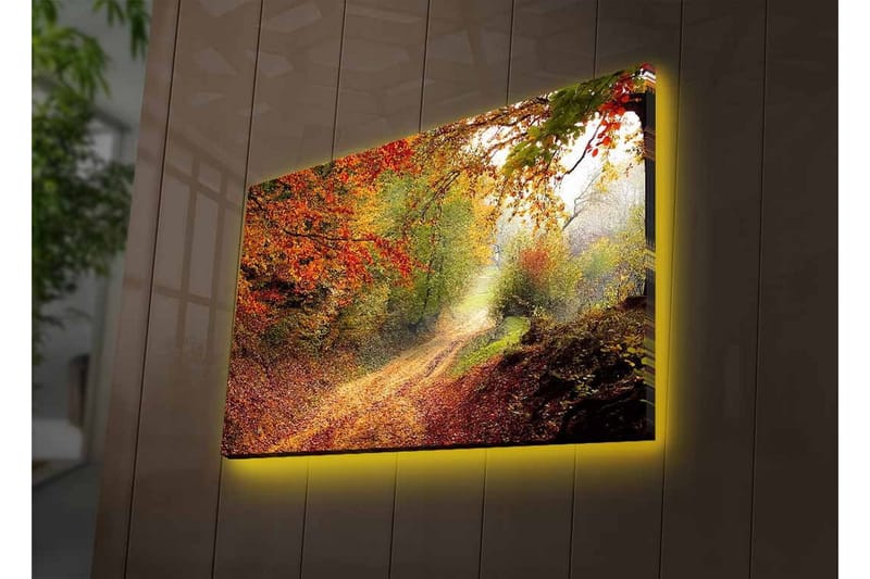 Canvastavla med LED-belysning - Vacker skogsväg omgiven av höstfärger - Röd / Grön / Brun - Inredning & dekor - Tavlor & konst - Canvastavla
