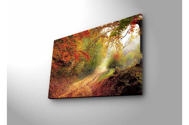 Canvastavla med LED-belysning - Vacker skogsväg omgiven av höstfärger - Röd / Grön / Brun - Inredning & dekor - Tavlor & konst - Canvastavla