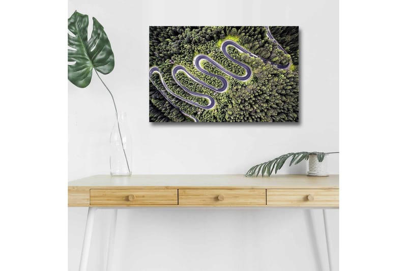 Canvastavla med LED-belysning - Vacker vy av en slingrande väg genom tät grönskande skog - Grön / Grå / Svart - Inredning & dekor - Tavlor & konst - Canvastavla