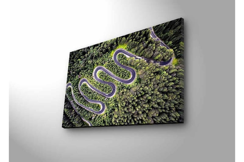 Canvastavla med LED-belysning - Vacker vy av en slingrande väg genom tät grönskande skog - Grön / Grå / Svart - Inredning & dekor - Tavlor & konst - Canvastavla