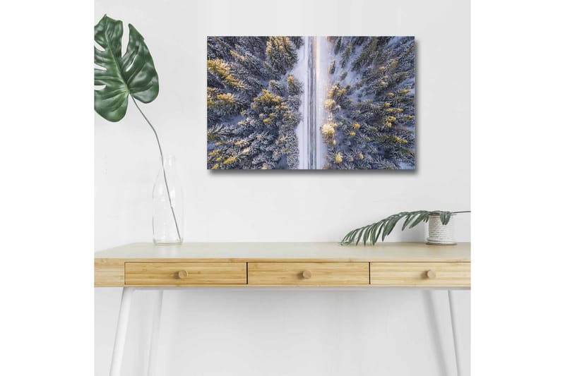 Canvastavla med LED-belysning - Vinterlandskap med snötäckta träd och en väg som sträcker sig genom skogen - Grå / Grön / Gul - Inredning & dekor - Tavlor & konst - Canvastavla