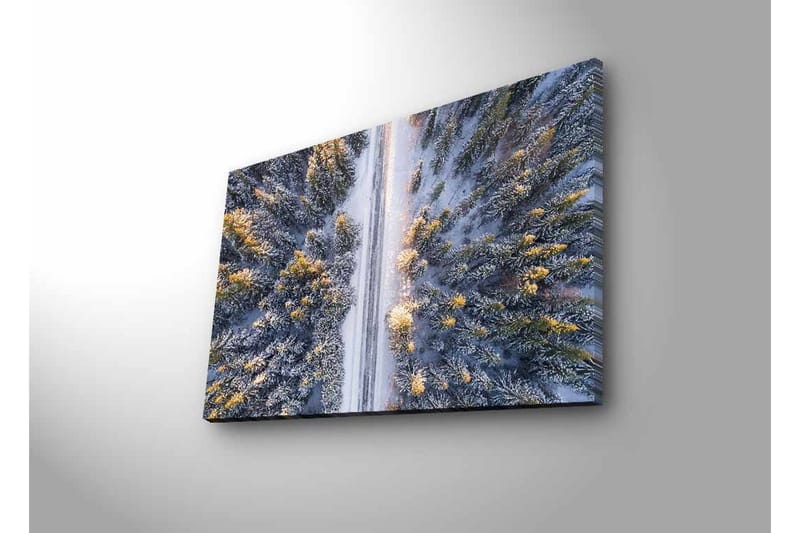 Canvastavla med LED-belysning - Vinterlandskap med snötäckta träd och en väg som sträcker sig genom skogen - Grå / Grön / Gul - Inredning & dekor - Tavlor & konst - Canvastavla