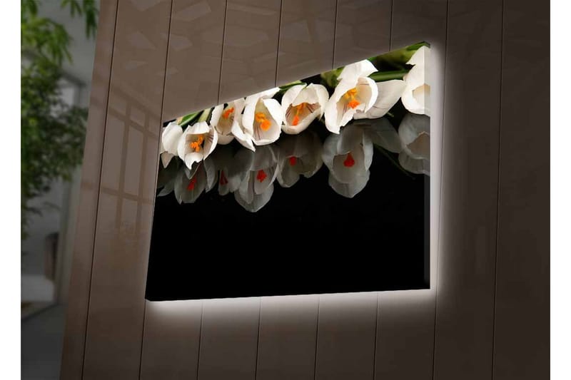 Canvastavla med LED-belysning - Vit blomsterbukett med reflektion på svart bakgrund - Vit / Orange / Grön - Inredning & dekor - Tavlor & konst - Canvastavla
