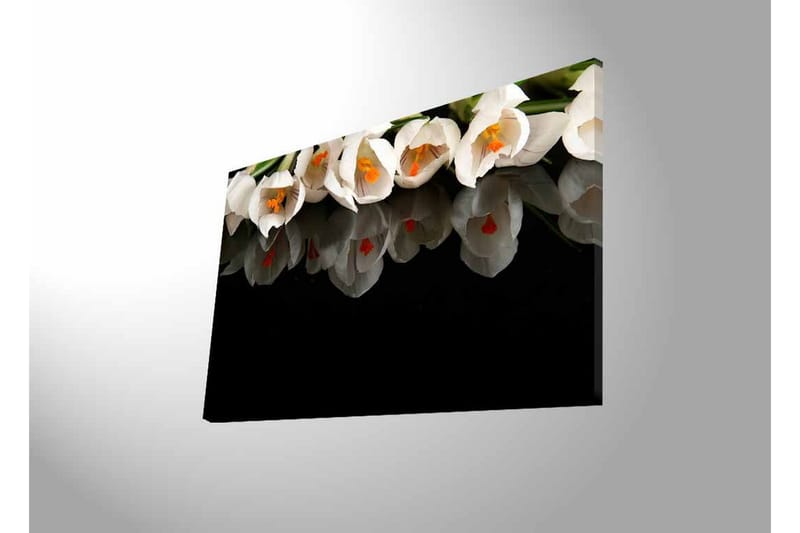 Canvastavla med LED-belysning - Vit blomsterbukett med reflektion på svart bakgrund - Vit / Orange / Grön - Inredning & dekor - Tavlor & konst - Canvastavla