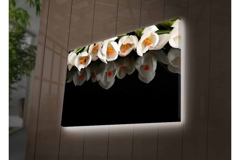 Canvastavla med LED-belysning - Vit blomsterbukett med reflektion på svart bakgrund - Vit / Orange / Grön - Inredning & dekor - Tavlor & konst - Canvastavla