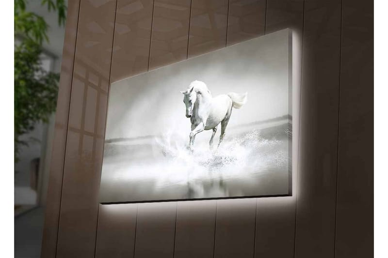 Canvastavla med LED-belysning - Vit häst som sprutar vatten i en dimmig miljö - Vit / Grå - Inredning & dekor - Tavlor & konst - Canvastavla