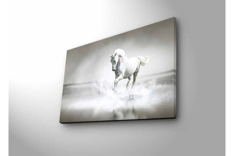 Canvastavla med LED-belysning - Vit häst som sprutar vatten i en dimmig miljö - Vit / Grå - Inredning & dekor - Tavlor & konst - Canvastavla