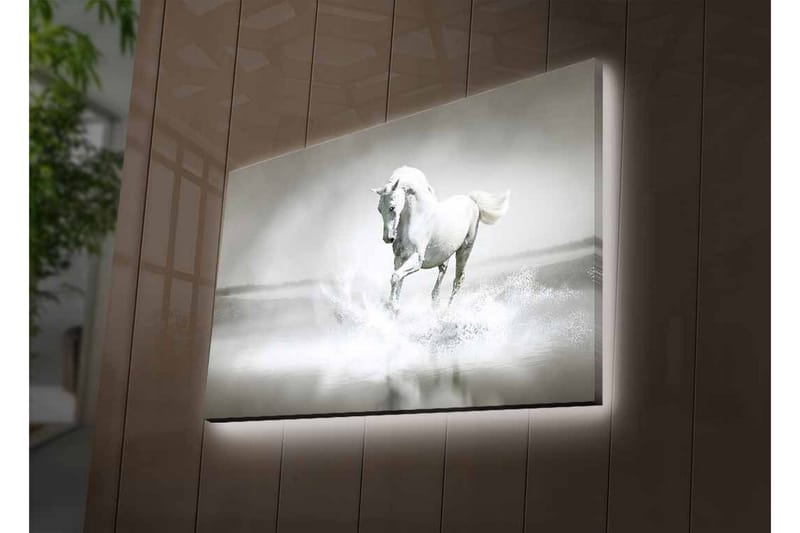 Canvastavla med LED-belysning - Vit häst som sprutar vatten i en dimmig miljö - Vit / Grå - Inredning & dekor - Tavlor & konst - Canvastavla