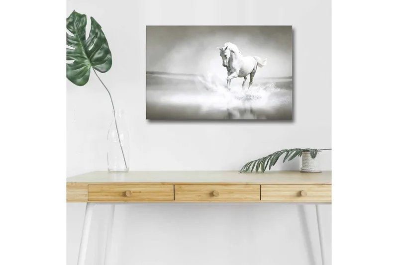 Canvastavla med LED-belysning - Vit häst som sprutar vatten i en dimmig miljö, Vit / Gr å
