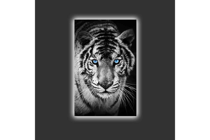 Canvastavla med LED-belysning - Porträtt av en vit tiger med blå ögon - Svart / Vit / Blå - Inredning & dekor - Tavlor & konst - Canvastavla