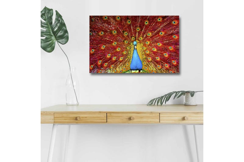 Canvastavla med LED-belysning - Praktfull påfågel med utspridda fjädrar i livfulla färger - Röd / Blå / Grön - Inredning & dekor - Tavlor & konst - Canvastavla