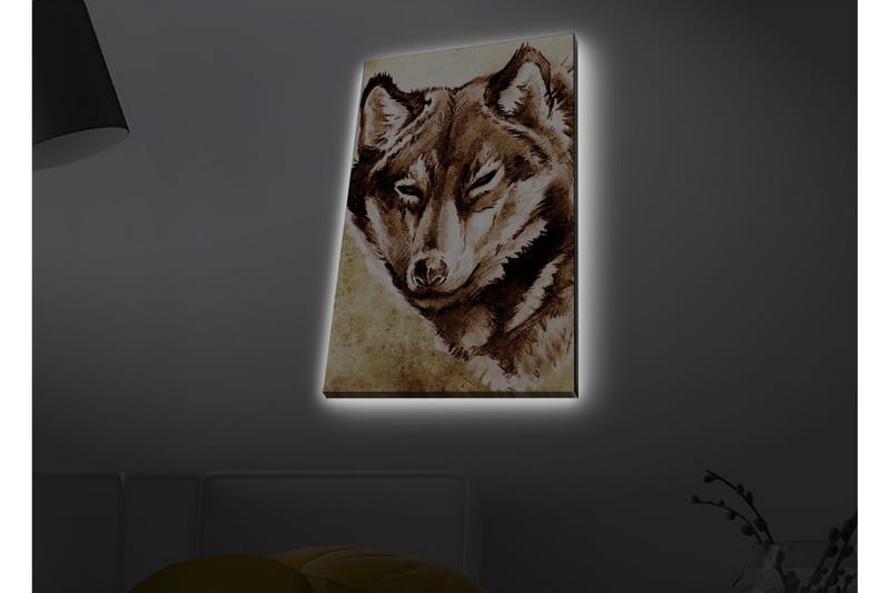Canvastavla med LED-belysning - Porträtt av en varg med fokuserad blick, Brun / Beige