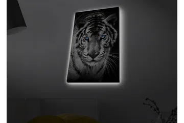 Canvastavla med LED-belysning - Porträtt av en vit tiger med blå ögon - Svart / Vit / Blå - Inredning & dekor - Tavlor & konst - Canvastavla