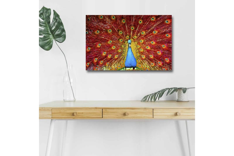 Canvastavla med LED-belysning - Praktfull påfågel med utspridda fjädrar i livfulla färger - Röd / Blå / Grön - Inredning & dekor - Tavlor & konst - Canvastavla