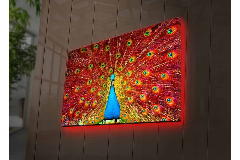 Canvastavla med LED-belysning - Praktfull påfågel med utspridda fjädrar i livfulla färger - Röd / Blå / Grön - Inredning & dekor - Tavlor & konst - Canvastavla