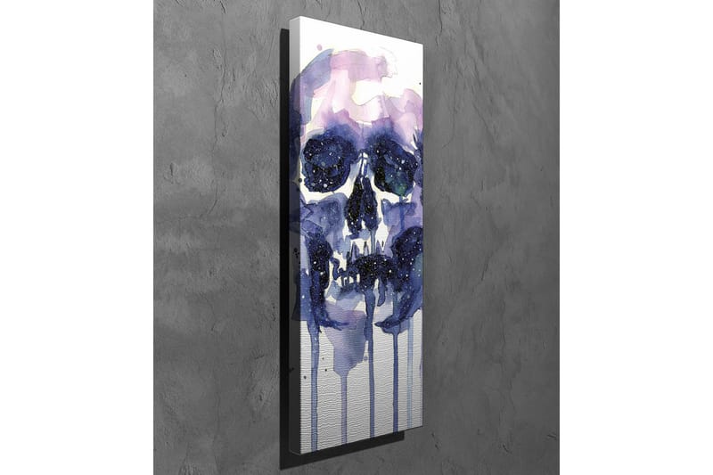 Canvastavla - Mörk och mystisk skalle med stjärnliknande detaljer - Lila / Mörkblå / Vit - Inredning & dekor - Tavlor & konst - Canvastavla