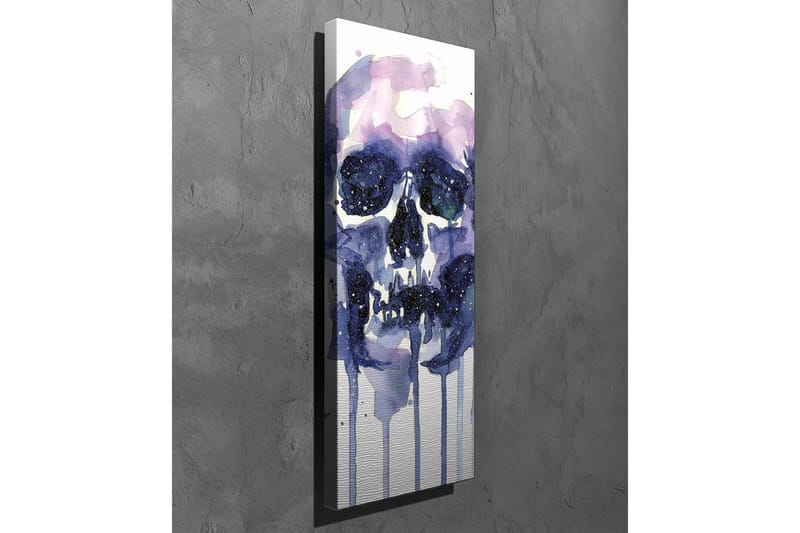 Canvastavla - Mörk och mystisk skalle med stjärnliknande detaljer - Lila / Mörkblå / Vit - Inredning & dekor - Tavlor & konst - Canvastavla