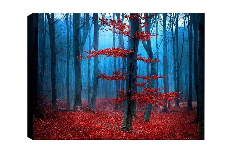 Canvastavla - Mystisk skog med röda träd i dimma, Röd / Blå / Grå