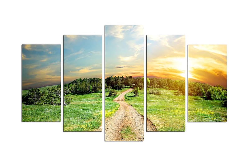 CANVASTAVLA Nature 5-pack Flerfärgad 20x60 cm - Inredning & dekor - Tavlor & konst - Canvastavla
