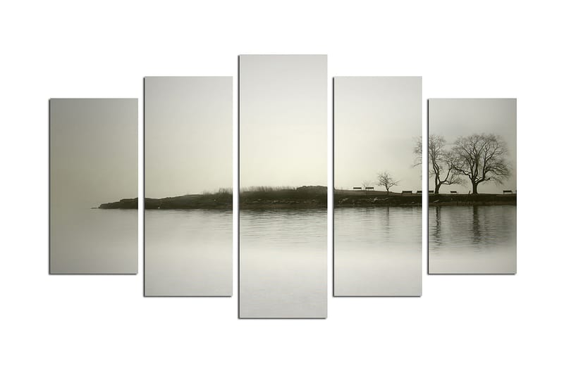 Canvastavla Nature 5-pack Flerfärgad, 20x60 cm