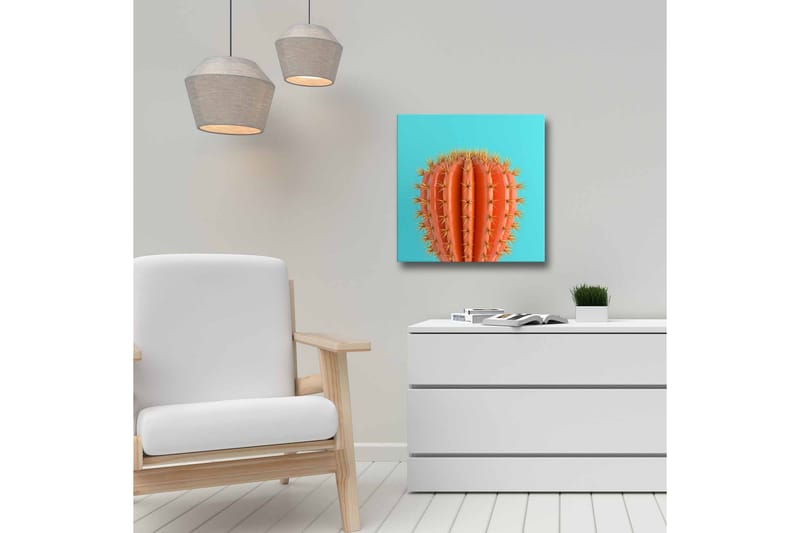 Canvastavla - Orange kaktus med taggar mot en turkos bakgrund - Orange / Turkos - Inredning & dekor - Tavlor & konst - Canvastavla