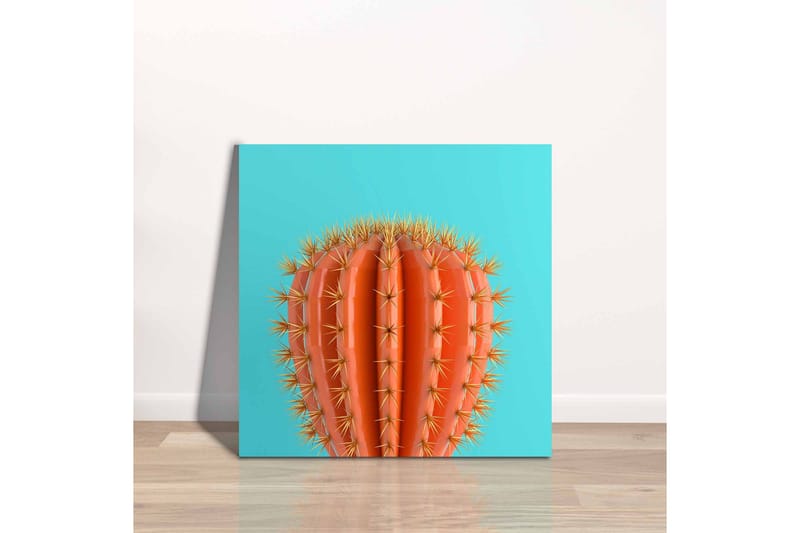 Canvastavla - Orange kaktus med taggar mot en turkos bakgrund - Orange / Turkos - Inredning & dekor - Tavlor & konst - Canvastavla