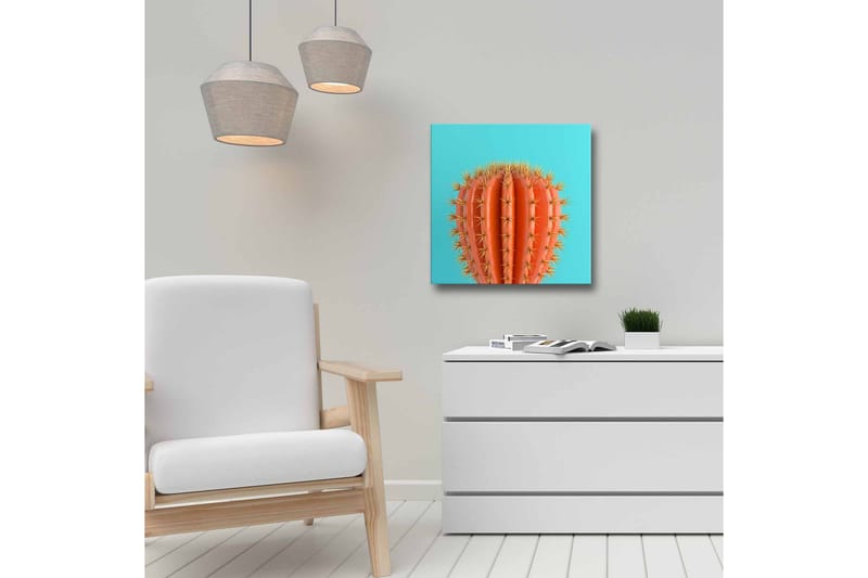 Canvastavla - Orange kaktus med taggar mot en turkos bakgrund - Orange / Turkos - Inredning & dekor - Tavlor & konst - Canvastavla