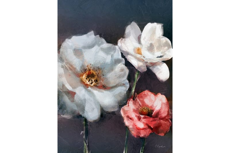 Canvastavla Red Rose, 60x80 cm