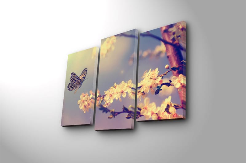 CANVASTAVLA Scenic 3-pack Flerfärgad 20x39 cm - Inredning & dekor - Tavlor & konst - Canvastavla