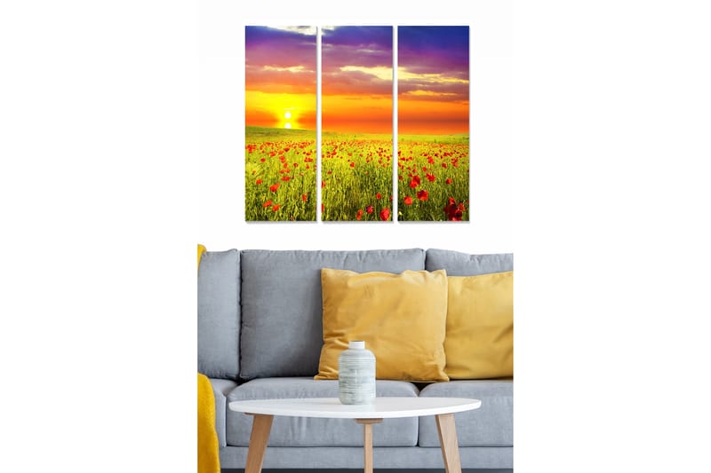 CANVASTAVLA Scenic 3-pack Flerfärgad 20x50 cm - Inredning & dekor - Tavlor & konst - Canvastavla