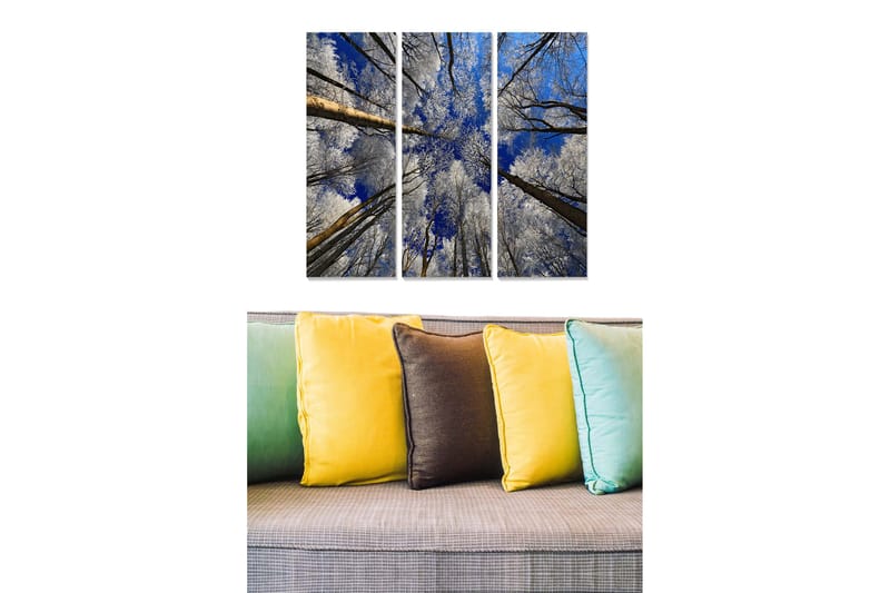 Canvastavla Scenic 3-pack Flerfärgad, 20x50 cm