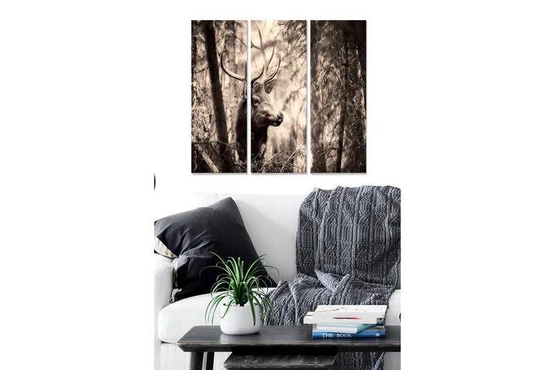 Canvastavla Scenic 3-pack Flerfärgad - 20x50 cm - Inredning & dekor - Tavlor & konst - Canvastavla