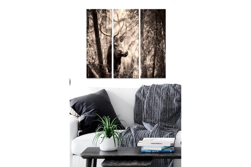 Canvastavla Scenic 3-pack Flerfärgad, 20x50 cm