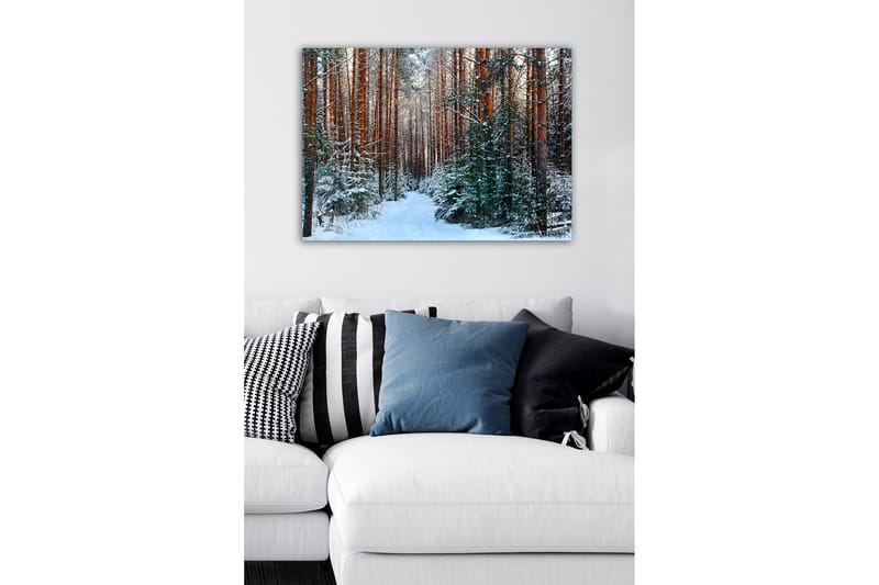 Canvastavla - Snötäckt skog med höga, raka tallar - Grön / Brun / Vit - Inredning & dekor - Tavlor & konst - Canvastavla