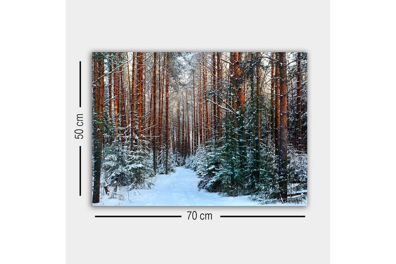 Canvastavla - Snötäckt skog med höga, raka tallar - Grön / Brun / Vit - Inredning & dekor - Tavlor & konst - Canvastavla