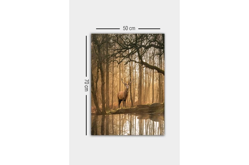 Canvastavla - Ståtlig älg i dimmig skogsmiljö - Brunt / Guld / Grönt - Inredning & dekor - Tavlor & konst - Canvastavla