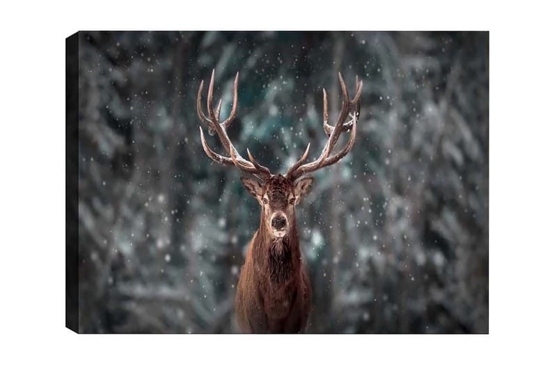 Canvastavla - Ståtlig älg med imponerande horn i snöig skogsmiljö - Brun / Grå / Vit - Inredning & dekor - Tavlor & konst - Canvastavla
