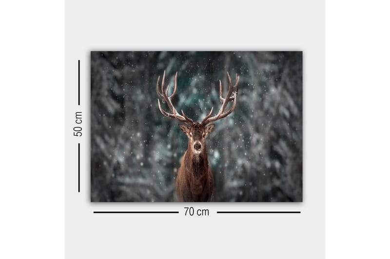 Canvastavla - Ståtlig älg med imponerande horn i snöig skogsmiljö - Brun / Grå / Vit - Inredning & dekor - Tavlor & konst - Canvastavla