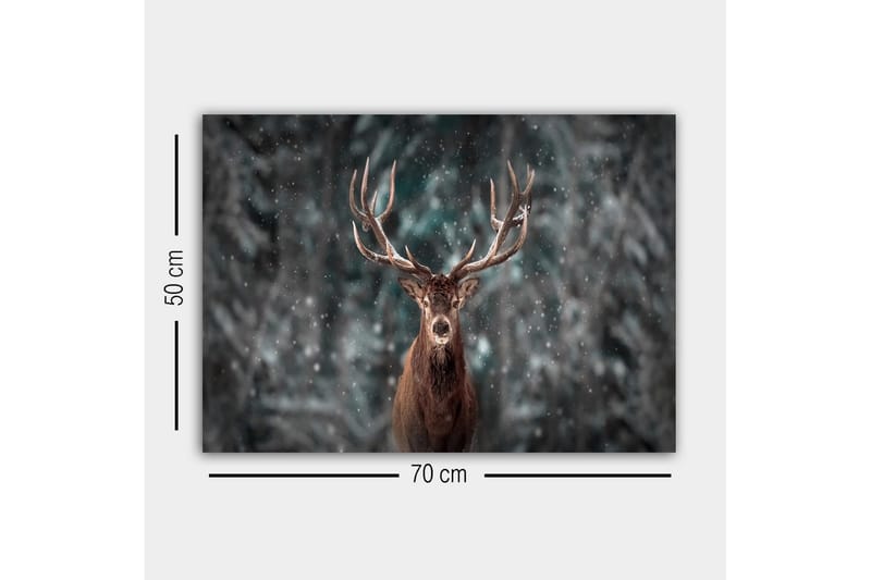 Canvastavla - Ståtlig älg med imponerande horn i snöig skogsmiljö - Brun / Grå / Vit - Inredning & dekor - Tavlor & konst - Canvastavla