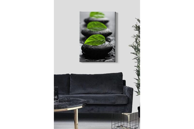 Canvastavla - Stenblock med gröna blad och vattendroppar - Svart / Grön - Inredning & dekor - Tavlor & konst - Canvastavla