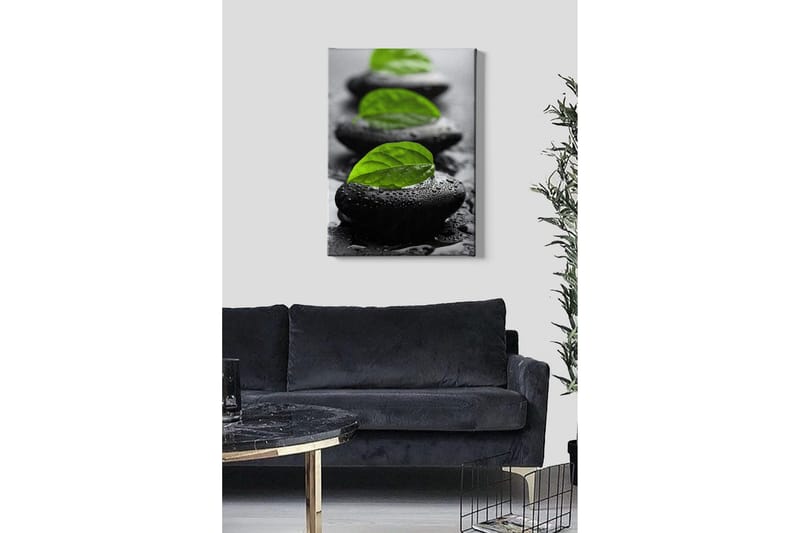 Canvastavla - Stenblock med gröna blad och vattendroppar - Svart / Grön - Inredning & dekor - Tavlor & konst - Canvastavla