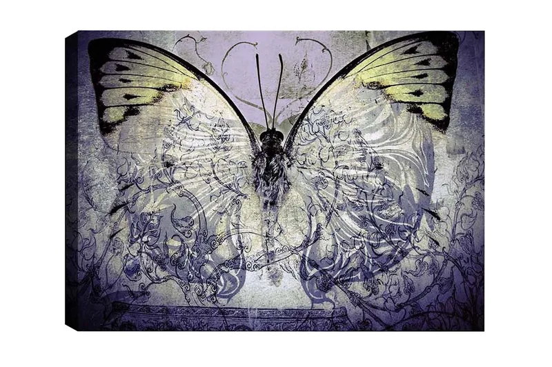 Canvastavla - Storslagen fjäril med intrikata mönster och detaljer, Lila / Svart / Grön
