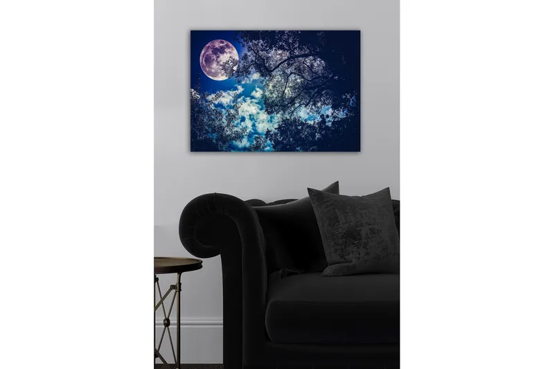 Canvastavla - Storslagen måne som lyser över en natthimmel med trädtoppar i silhuett - Mörkblå / Ljusblå / Vit - Inredning & dekor - Tavlor & konst - Canvastavla