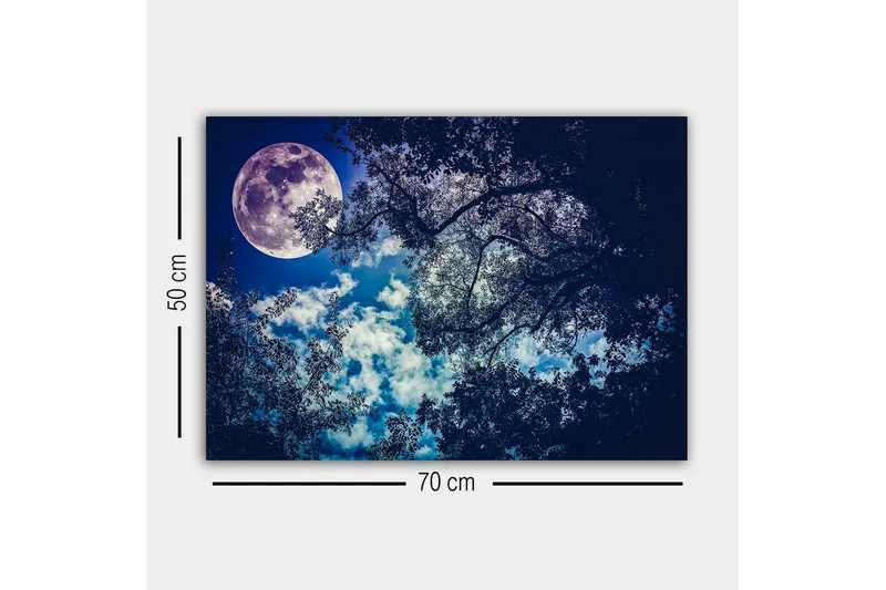 Canvastavla - Storslagen måne som lyser över en natthimmel med trädtoppar i silhuett - Mörkblå / Ljusblå / Vit - Inredning & dekor - Tavlor & konst - Canvastavla
